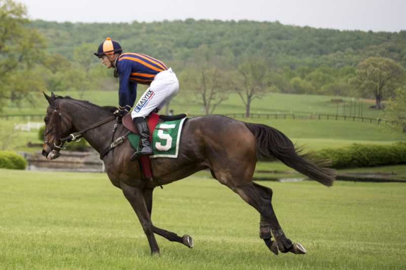Showing a jockey riding a racehorse.
